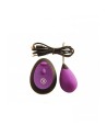 OEUF VIBRANT RECHARGEABLE G1 Violet