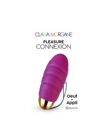 Pleasure connexion Violet - Oeuf vibrant