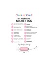 My vibrating secret egg - Rose