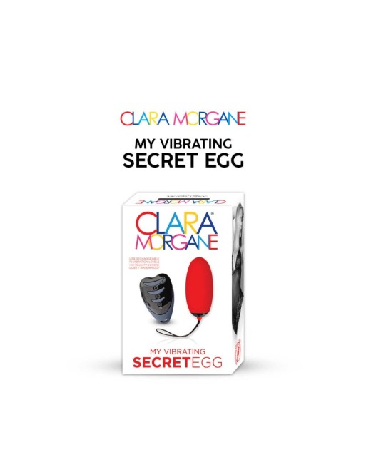 My vibrating secret egg - Rouge