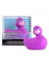 Canard Vibrant Classic Violet